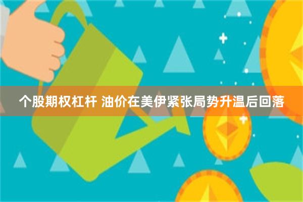 个股期权杠杆 油价在美伊紧张局势升温后回落