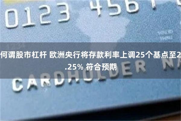 何谓股市杠杆 欧洲央行将存款利率上调25个基点至2.25% 符合预期