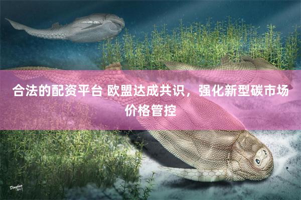 合法的配资平台 欧盟达成共识,强化新型碳市场价格管控