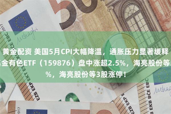 黄金配资 美国5月CPI大幅降温，通胀压力显著缓释！华宝基金有色ETF（159876）盘中涨超2.5%，海亮股份等3股涨停！