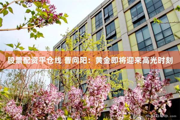 股票配资平仓线 曹向阳：黄金即将迎来高光时刻