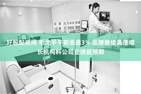 好股配资网 毛戈平午前涨逾3% 品牌继续高速增长机构料公司业绩超预期