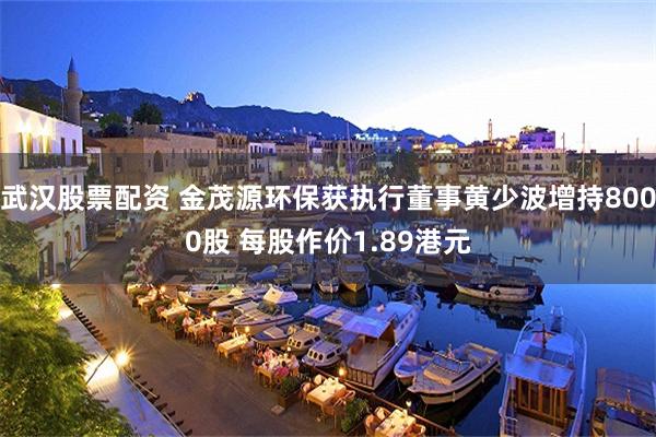 武汉股票配资 金茂源环保获执行董事黄少波增持8000股 每股作价1.89港元