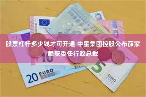 股票杠杆多少钱才可开通 中星集团控股公布薛家麟获委任行政总裁