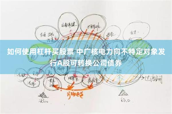 如何使用杠杆买股票 中广核电力向不特定对象发行A股可转换公司债券