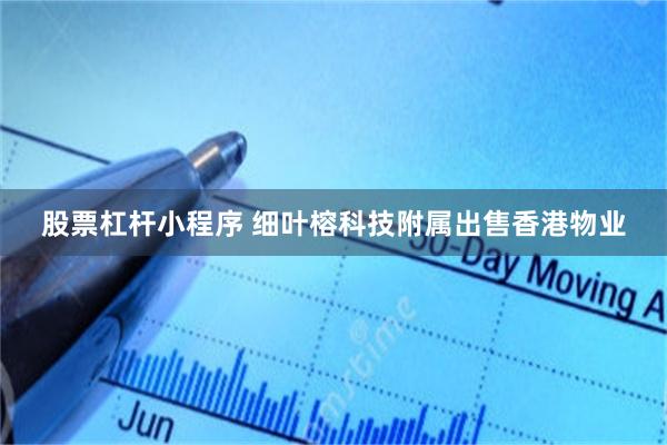 股票杠杆小程序 细叶榕科技附属出售香港物业