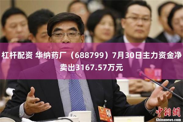 杠杆配资 华纳药厂（688799）7月30日主力资金净卖出3167.57万元