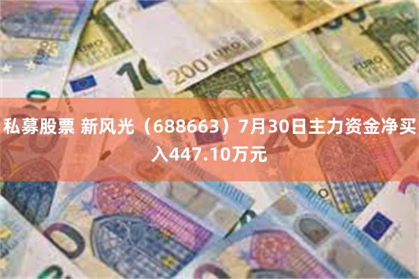 私募股票 新风光（688663）7月30日主力资金净买入447.10万元