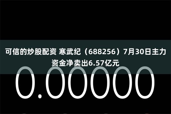 可信的炒股配资 寒武纪（688256）7月30日主力资金净卖出6.57亿元