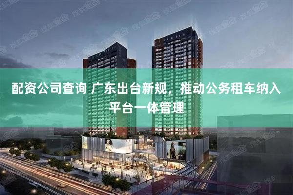 配资公司查询 广东出台新规，推动公务租车纳入平台一体管理