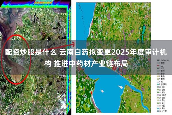 配资炒股是什么 云南白药拟变更2025年度审计机构 推进中药材产业链布局