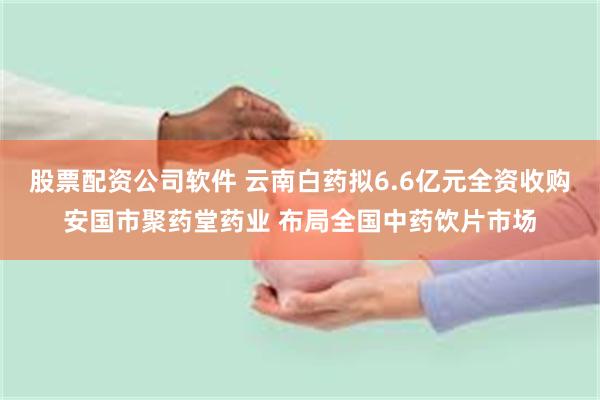 股票配资公司软件 云南白药拟6.6亿元全资收购安国市聚药堂药业 布局全国中药饮片市场
