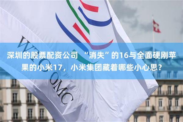深圳的股票配资公司  “消失”的16与全面硬刚苹果的小米17，小米集团藏着哪些小心思？