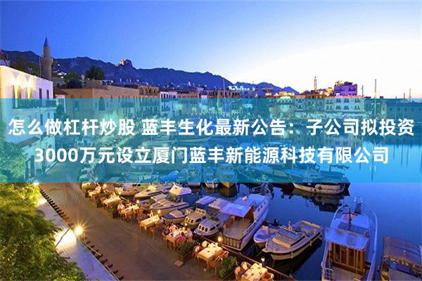 怎么做杠杆炒股 蓝丰生化最新公告：子公司拟投资3000万元设立厦门蓝丰新能源科技有限公司