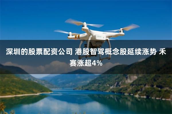 深圳的股票配资公司 港股智驾概念股延续涨势 禾赛涨超4%
