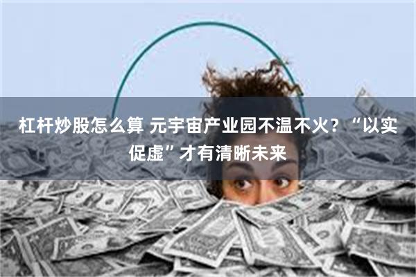 杠杆炒股怎么算 元宇宙产业园不温不火？“以实促虚”才有清晰未来