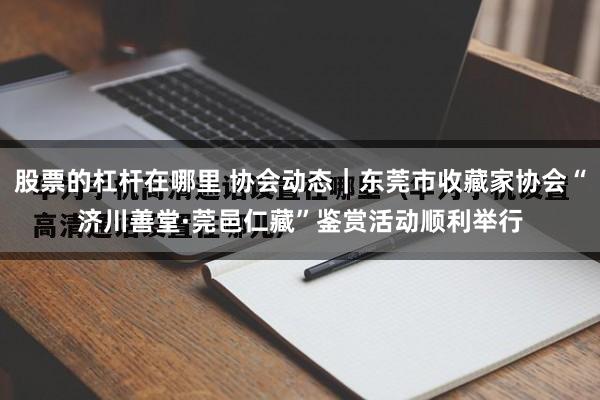 股票的杠杆在哪里 协会动态|东莞市收藏家协会“济川善堂·莞邑仁藏”鉴赏活动顺利举行