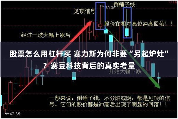 股票怎么用杠杆买 赛力斯为何非要“另起炉灶”？赛豆科技背后的真实考量