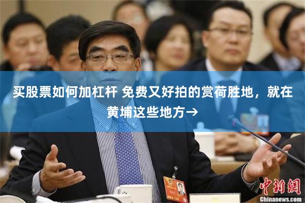 买股票如何加杠杆 免费又好拍的赏荷胜地,就在黄埔这些地方→