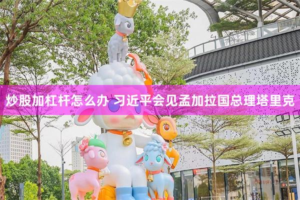炒股加杠杆怎么办 习近平会见孟加拉国总理塔里克
