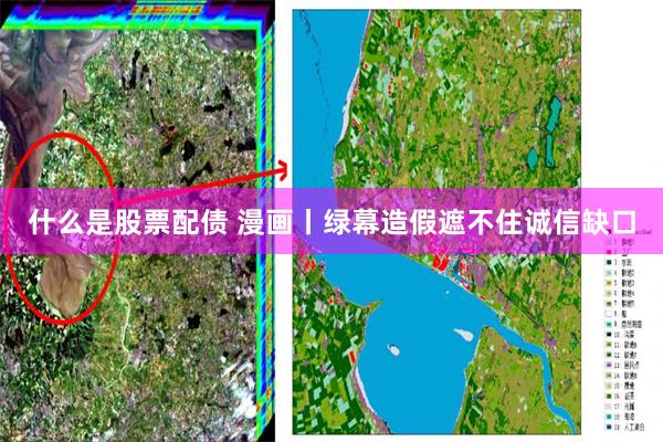 什么是股票配债 漫画丨绿幕造假遮不住诚信缺口