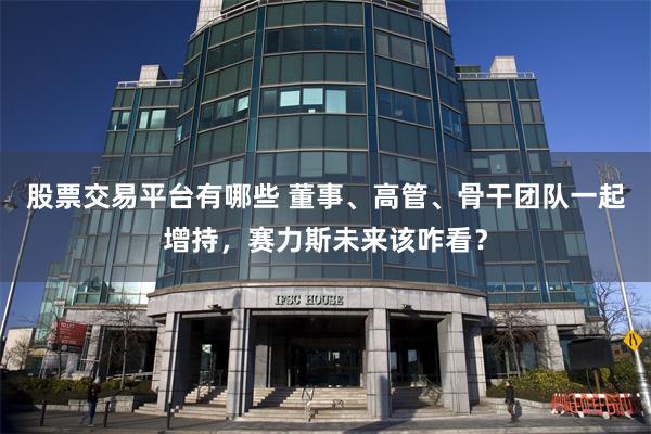 股票交易平台有哪些 董事、高管、骨干团队一起增持，赛力斯未来该咋看？
