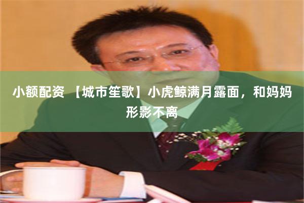 小额配资 【城市笙歌】小虎鲸满月露面，和妈妈形影不离