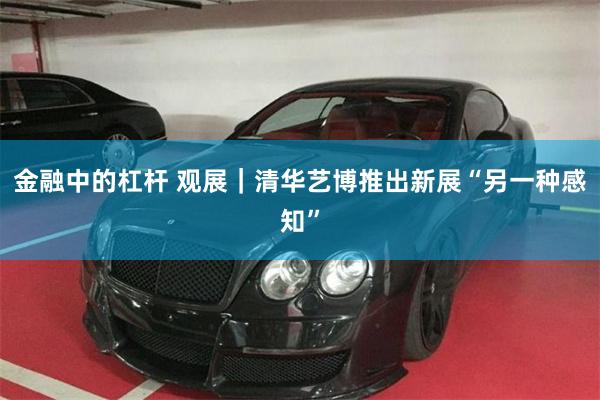 金融中的杠杆 观展｜清华艺博推出新展“另一种感知”