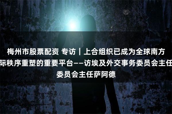 梅州市股票配资 专访｜上合组织已成为全球南方参与国际秩序重塑的重要平台——访埃及外交事务委员会主任萨阿德