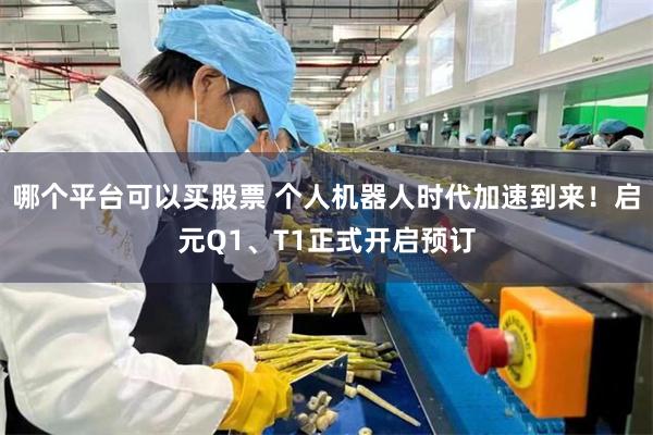 哪个平台可以买股票 个人机器人时代加速到来！启元Q1、T1正式开启预订