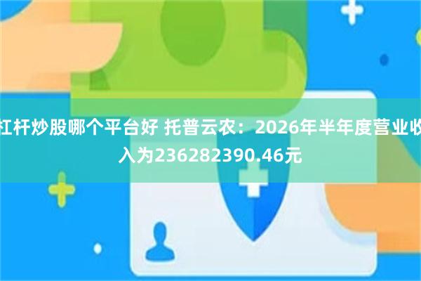 杠杆炒股哪个平台好 托普云农：2026年半年度营业收入为236282390.46元
