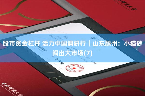 股市资金杠杆 活力中国调研行｜山东滕州：小猫砂闯出大市场(7)