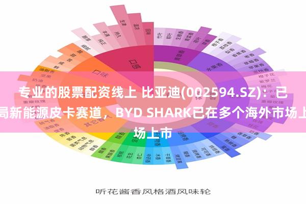 专业的股票配资线上 比亚迪(002594.SZ)：已布局新能源皮卡赛道，BYD SHARK已在多个海外市场上市