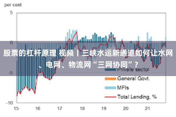 股票的杠杆原理 视频丨三峡水运新通道如何让水网、电网、物流网“三网协同”？