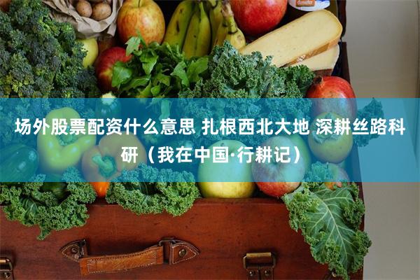 场外股票配资什么意思 扎根西北大地 深耕丝路科研（我在中国·行耕记）